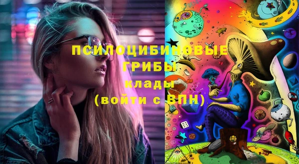 амфетамин Белокуриха