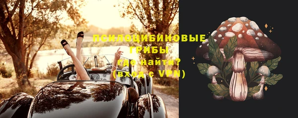 амфетамин Белокуриха