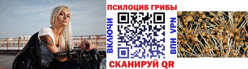 hydra ССЫЛКА Конаково Галлюциногенные грибы Magic Shrooms